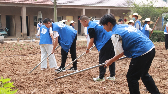 7.开展社区劳动教育